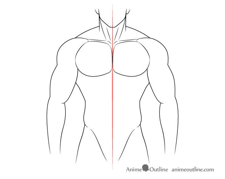 Muscular body neck and collar bones drawing