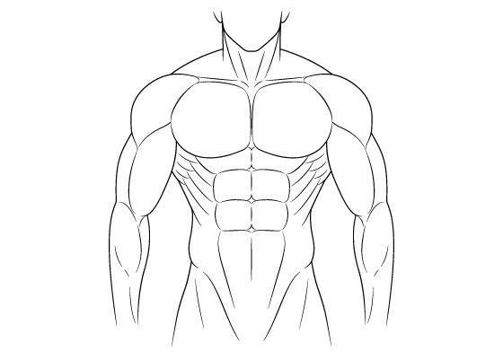 How to Draw Anime Muscular Male Body Step by Step