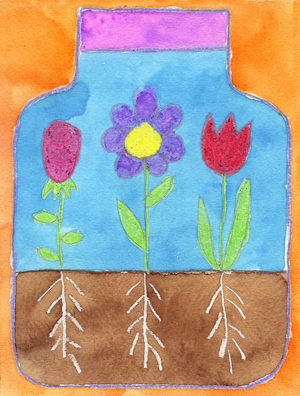 A drawing of a Terrarium, made with the help of an easy step by step tutorial.